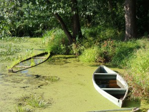 Boats