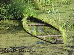 Waterlogged wooden boat