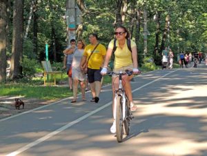 Along the park path